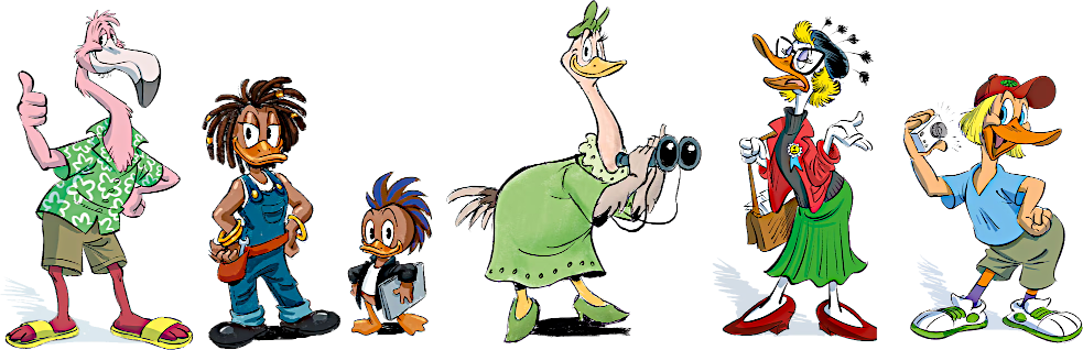 Several of the selected designs