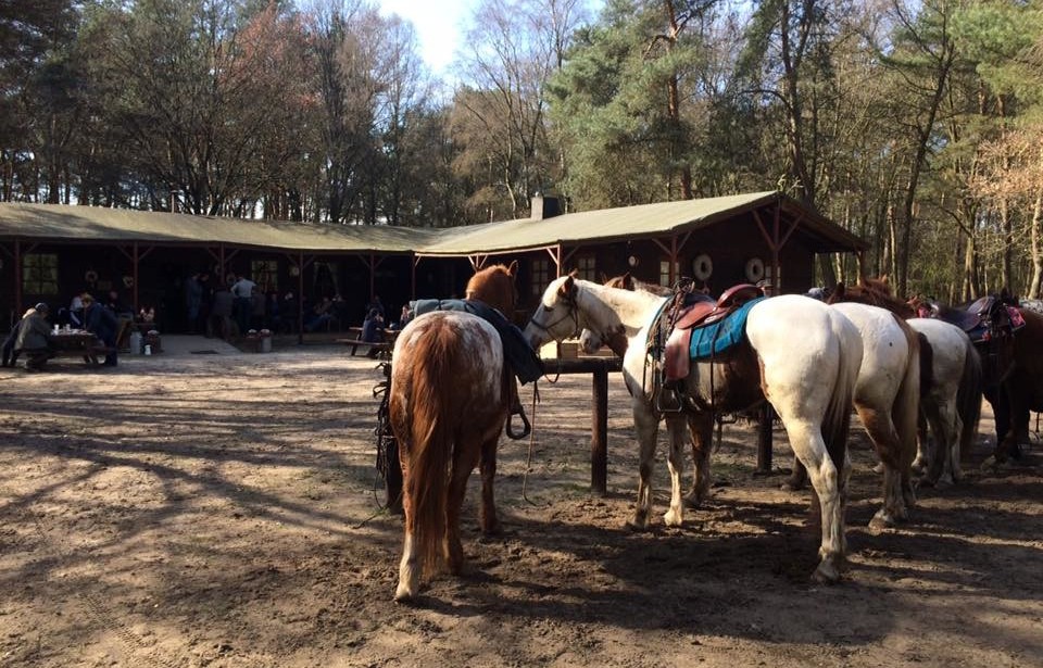 Horses at the Pony Express