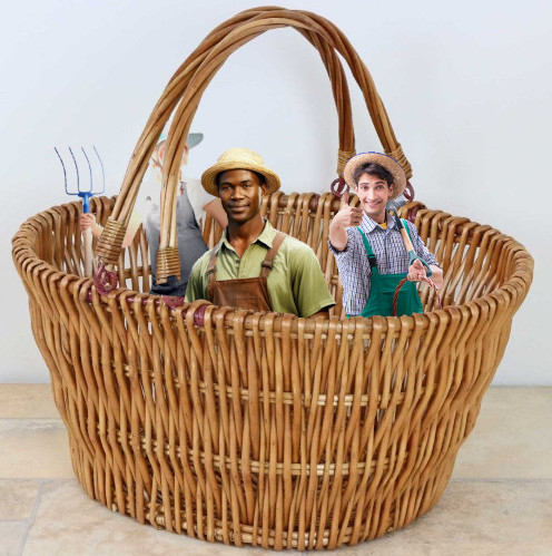 A basket filled with stock pictures of farmers